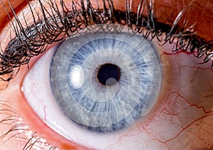 close up eye. close up Iris. very Close macro shot of an eyeball. vivid blue and white