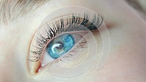 Close up of eye with eyelash extensions ,beauty salon treatment ,