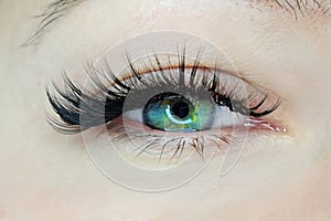 Close up of eye with eyelash extensions ,beauty salon treatment