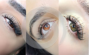 Close up of eye with eyelash extensions ,beauty salon treatment