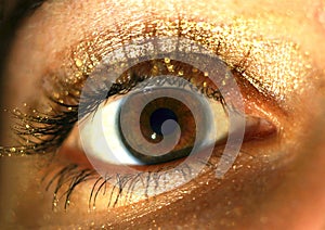 Close-up of an eye with golden eye shadow