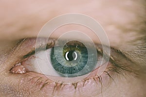 Close-up of the eye, macro photo. The iris is green-blue. Copyspace.