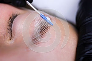 Close-up of eyebrow hairs styled and combed with laminating compositions