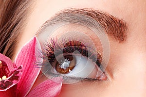 Close up of eyelash extensions