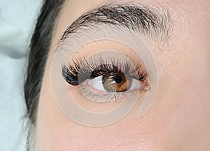 Close up of eyelash Extensions in beauty salon macro eye