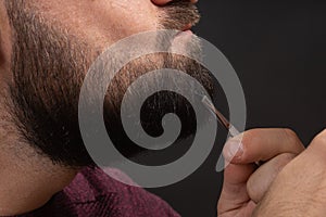 Close up on face of bearded man pulling gray hair out of graying beard with tweezers. Concept of men anti-aging beard