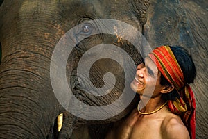 Close up face elephant