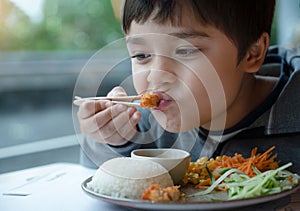 Close up face healhty boy eating chicken katsu with steam rice and mixed vegetables salad, Mixed race child enjoy meal in