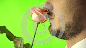 Close-Up Face Men Sniffing A Rose On Green Screen Background. Side view