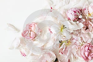 Close up of fading pink roses and peonies flowers petals isolated on white table background. Floral frame composition