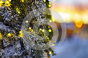 Close up of fairy lights chain on snowy christmas tree with colorful sunset and snow on background, bokeh lights