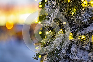 Close up of fairy lights chain on snowy christmas tree with colorful sunset and snow on background, bokeh lights