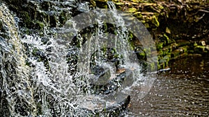 Closeup of falling and splashing streams of water, Ivande waterfall, Latvia