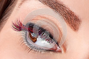 Close-up of false eyelashes