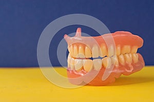 close-up of false teeth removable dentures, the topic of dental prosthetics, loss of teeth. care for