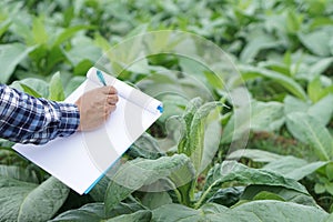 Close up famer is writing on paper notepad about growth and diseases of plants in garden.