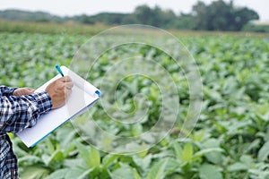 Close up famer is writing on paper notepad about growth and diseases of plants in garden.