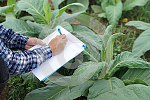 Close up famer is writing on paper notepad about growth and diseases of plants in garden.