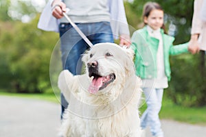 Close up of family with labrador dog in park