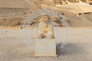 Close-up of a famous Egyptian Sphinx in Luxor