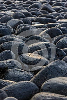 A close-up of the famous & very slippery black boulders at Dunstanburgh Castle in Northumberland