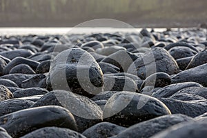 A close-up of the famous & very slippery black boulders at Dunstanburgh Castle in Northumberland