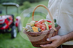 Close up of farmer holding harvest basket full of fresh vegetables.