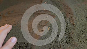 close up of a farmer's hand plugging onion seeds chive with ground.