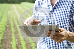 Close Up Of Farmer Using Digital Tablet On Organic Farm
