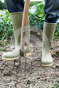 Close Up Of Farmer Working In Organic Farm Field