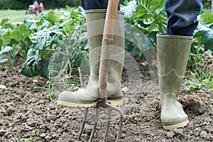 Close Up Of Farmer Working In Organic Farm Field