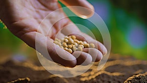 close up of farmers hand planting pumpkin seeds in the ground Fertile ground in which seeds