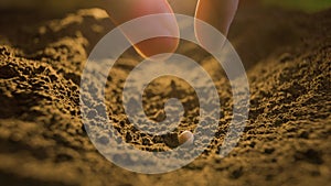 close up of farmers hand planting pumpkin seeds in the ground Fertile ground in which seeds