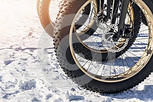 Fatbike tires in the snow photo