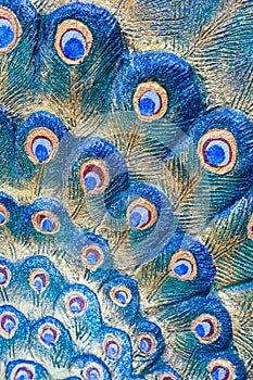 Close up feather peacock statue for use background