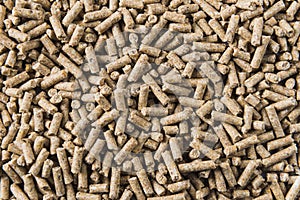 Close-up on feed pellets photo