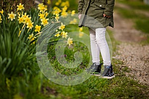 Close-up feet of little girl in the spring country on the green grass with yellow daffodils