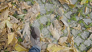 Close-up of feet walking on sidewalk with yellow leaves. Action. Top view of legs of man walking on autumn trail. Man
