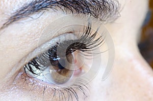 Close up of female brown eye with no make up,long lashes and ey