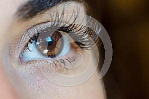 Close up of female brown eye with no make up,long lashes and eye