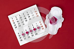 Close-up of female calendar of periods for checking the days of menstruation, isolated on a red background. Medical healthcare gyn