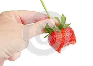 Close up of female hand holding fresh strawberry with bite missing, isolated