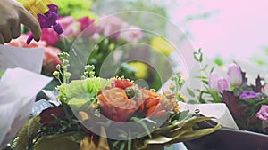 Close up of female hand splattering flowers using a spray bottle. Hand with spray bottle spraying water on potted flower