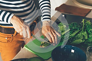 Close up of hands cutting spinach