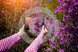 Close-up of female hands holding tablet PC with floral background. Unknown tourist with a digital tablet camera takes pictures