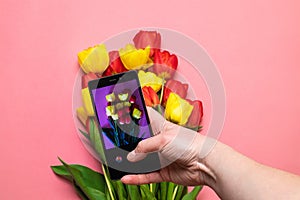 Close up female hands taking photo of beautiful flowers with smartphone