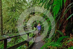 CLOSE UP: Female photographer treks along a scenic boardwalk in Hoh Rainforest.