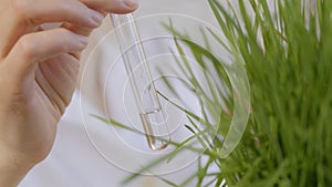 Close-up of a female scientist in a lab pouring clear liquid into a test tube next to a growing green grass.