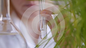 Close-up of a female scientist in a lab pouring clear liquid into a test tube next to a growing green grass.