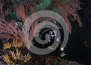 A close up of a female scuba diver exploring the reef